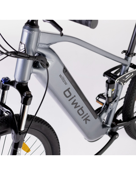 Elétrica de salgueiro Bicicleta