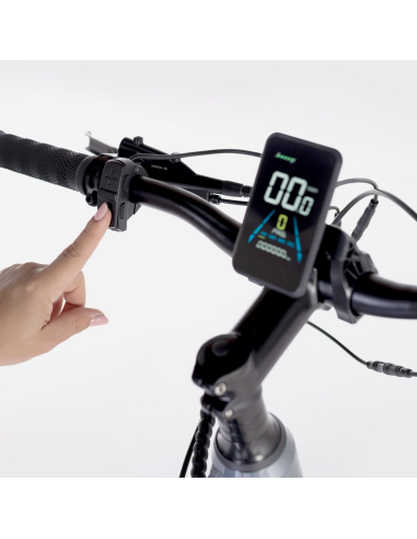 Elétrica de salgueiro Bicicleta