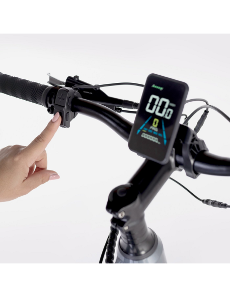 Elétrica de salgueiro Bicicleta