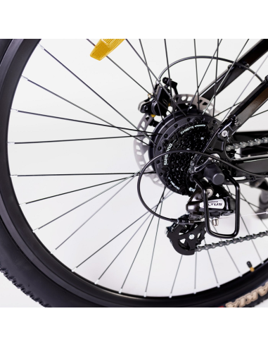 Elétrica de salgueiro Bicicleta