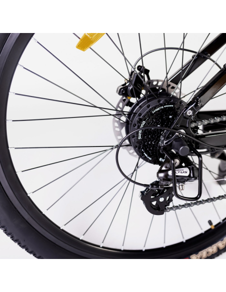 Elétrica de salgueiro Bicicleta