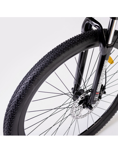 Bicicleta Eléctrica Biwbik Willow