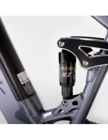 Elétrica de salgueiro Bicicleta