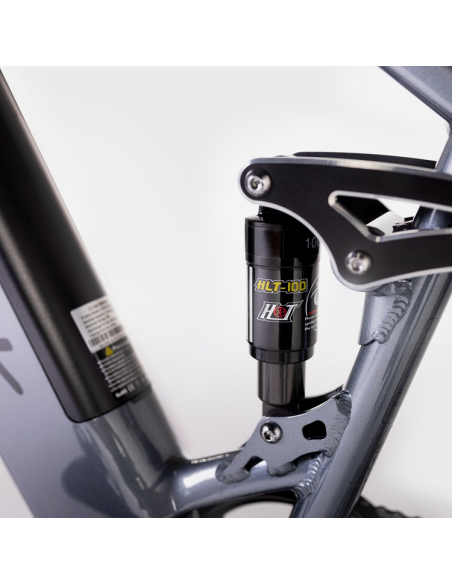 Elétrica de salgueiro Bicicleta