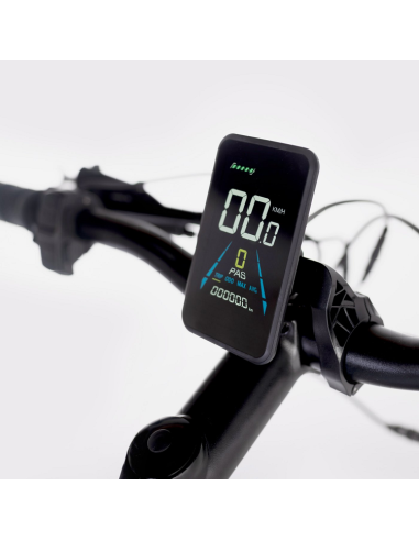 Elétrica de salgueiro Bicicleta