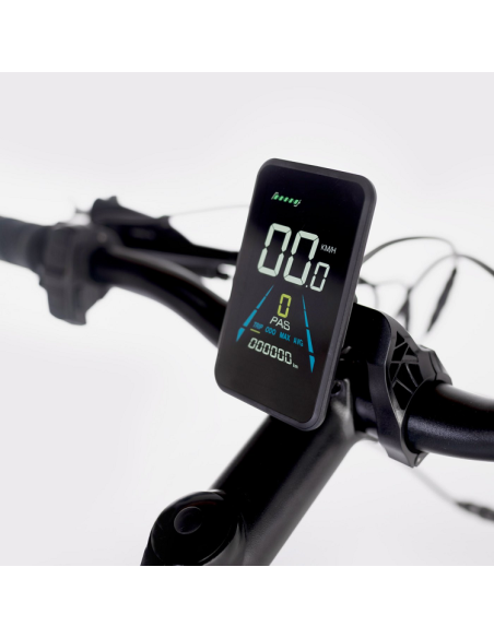 Elétrica de salgueiro Bicicleta