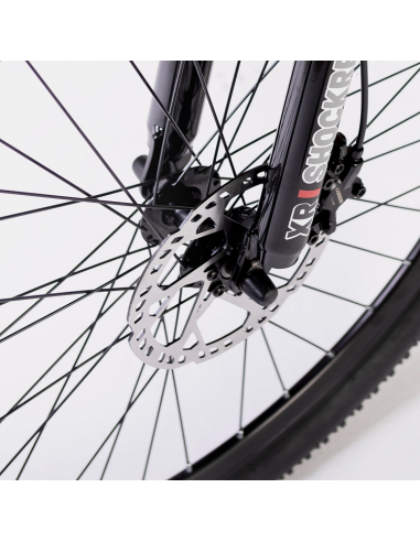 Elétrica de salgueiro Bicicleta