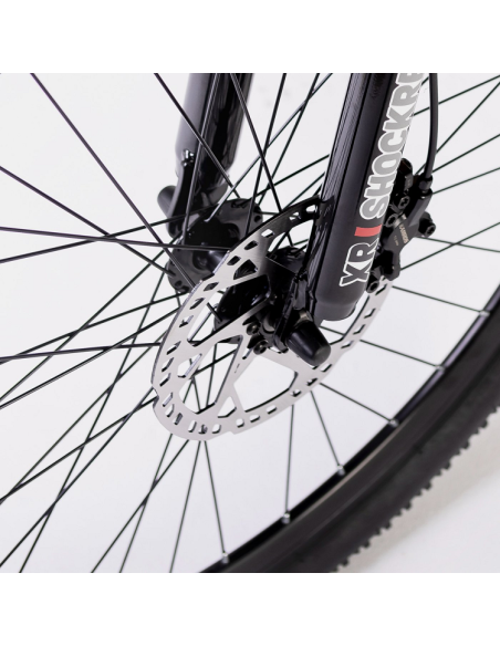 Elétrica de salgueiro Bicicleta