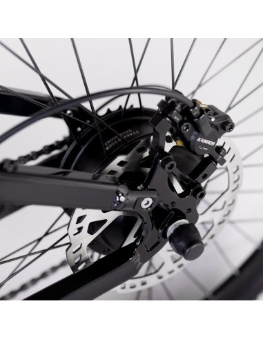 Elétrica de salgueiro Bicicleta