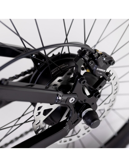 Elétrica de salgueiro Bicicleta