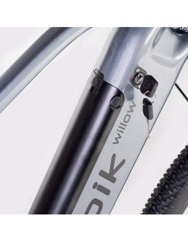 Elétrica de salgueiro Bicicleta