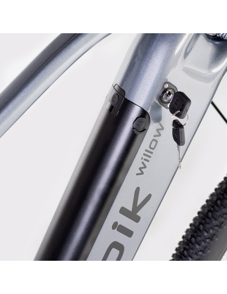 Elétrica de salgueiro Bicicleta