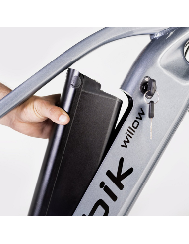 Elétrica de salgueiro Bicicleta