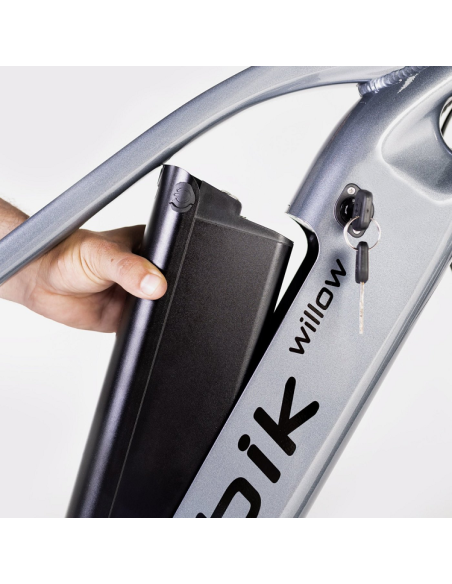 Elétrica de salgueiro Bicicleta