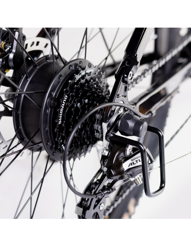 Elétrica de salgueiro Bicicleta