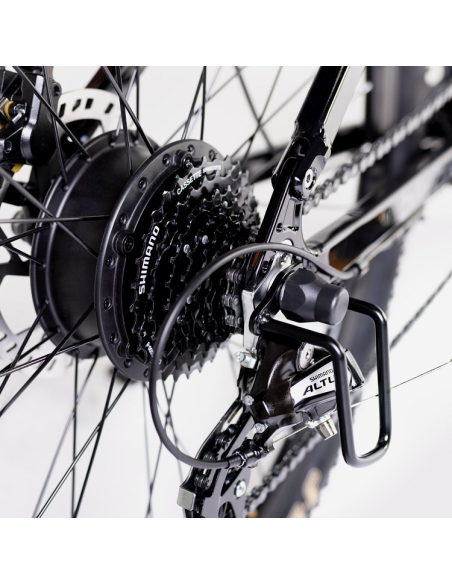 Elétrica de salgueiro Bicicleta