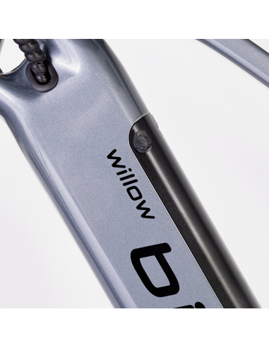 Elétrica de salgueiro Bicicleta