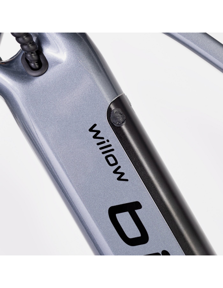 Elétrica de salgueiro Bicicleta