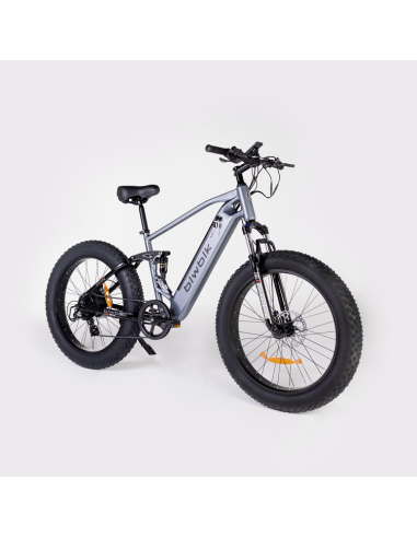 Bicicleta Eléctrica  Biwbik Sandy