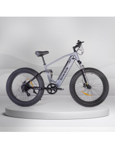 Bicicleta Eléctrica  Biwbik Sandy