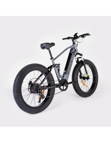 Bicicleta Eléctrica  Biwbik Sandy