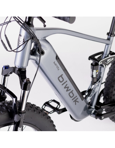 Bicicleta Eléctrica  Biwbik Sandy