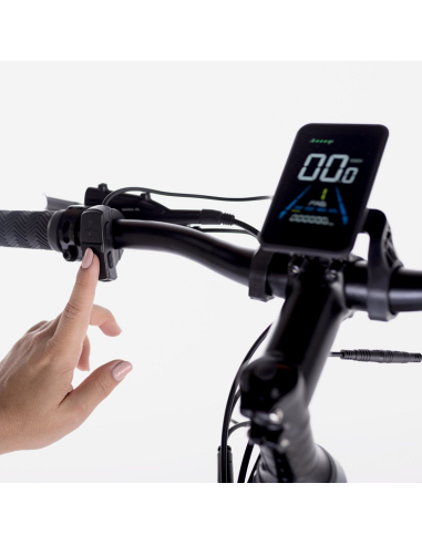 Bicicleta Eléctrica  Biwbik Sandy