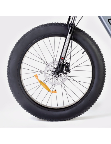 Bicicleta Eléctrica  Biwbik Sandy