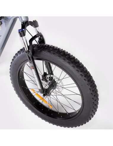 Bicicleta Eléctrica  Biwbik Sandy