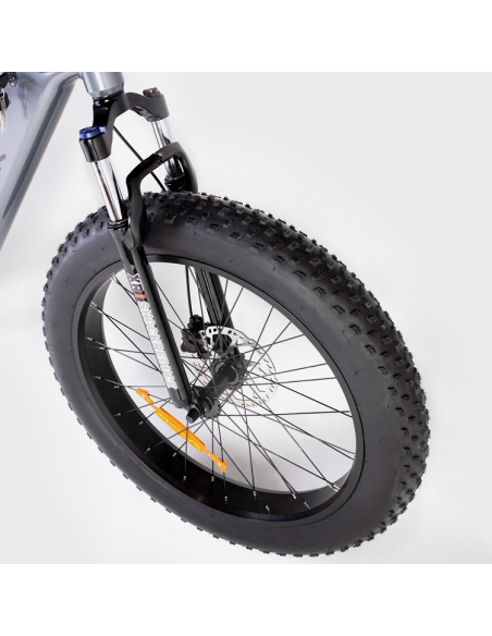 Bicicleta Eléctrica  Biwbik Sandy Bicicleta Eléctrica  Biwbik Sandy