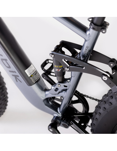 Bicicleta Eléctrica  Biwbik Sandy