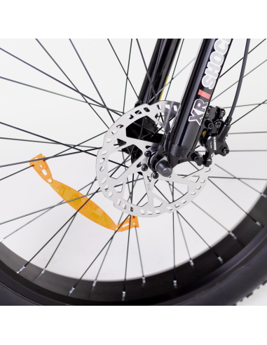 Bicicleta Eléctrica  Biwbik Sandy