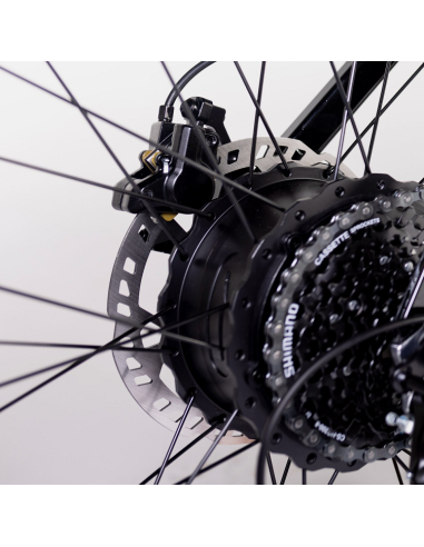 Bicicleta Eléctrica  Biwbik Sandy