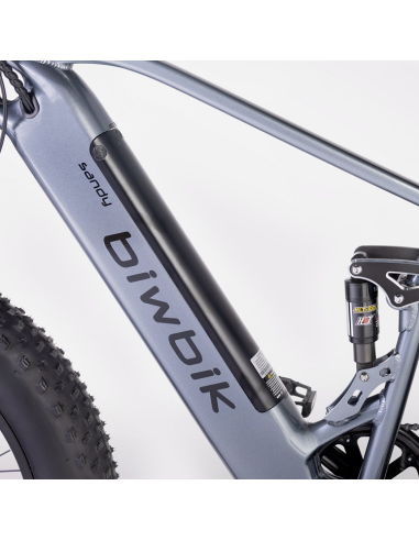 Bicicleta Eléctrica  Biwbik Sandy