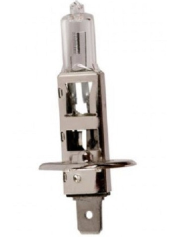 Lampe halogène, H1, 12V, 55W