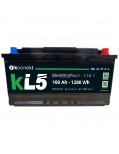 Batería compacta de litio 100Ah Bluetooth