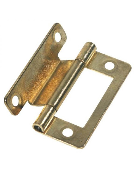Offset brass hinge x2