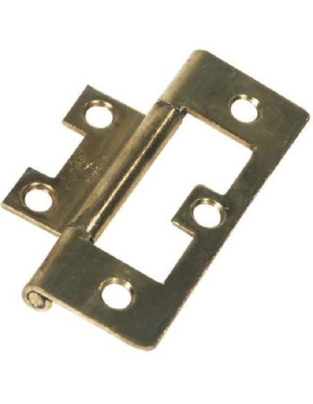 Flat brass hinge 2 units
