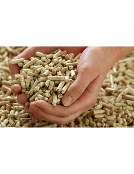 Was ist das Pellet? Vorteile von Pellets