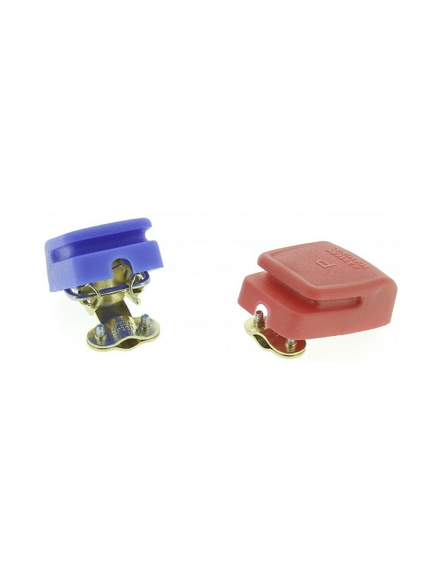Pair of terminals for fast battery connection