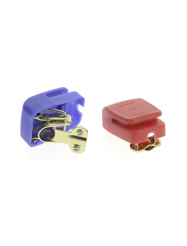 Pair of terminals for fast battery connection