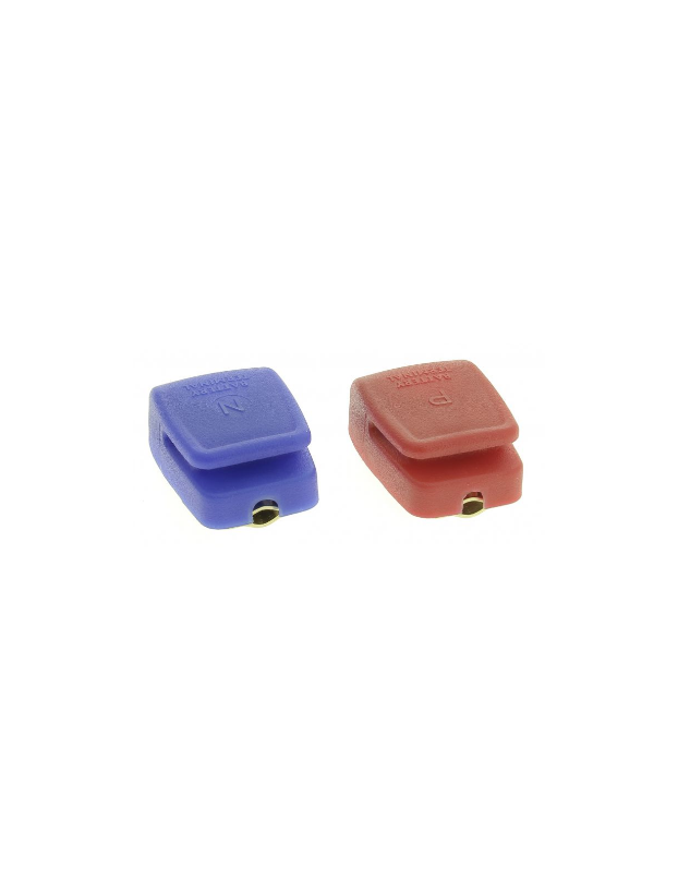 Pair of terminals for fast battery connection