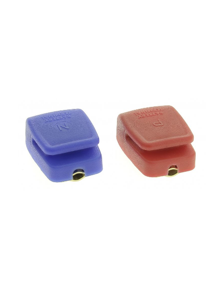 Paire de bornes pour une connexion rapide de la batterie