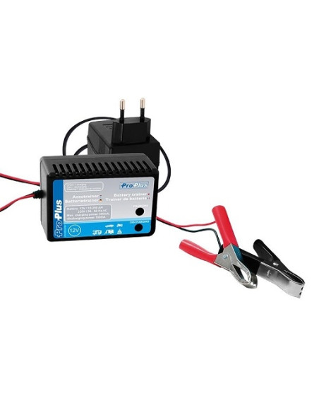 Cargador de batería de 12V de 10-250AH ProPlus