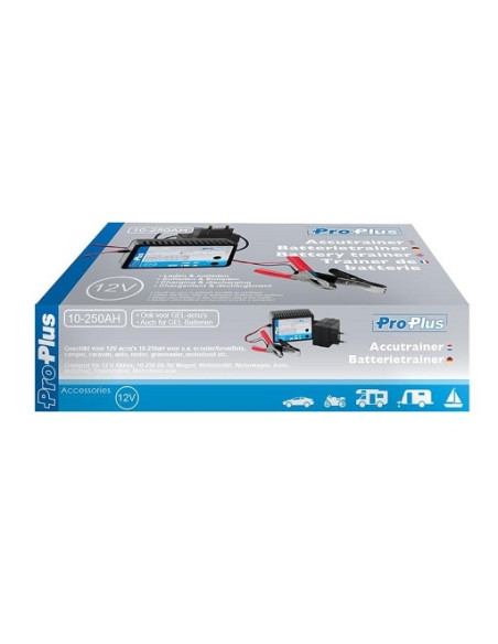 Cargador de batería de 12V de 10-250AH ProPlus