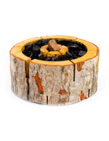 Portatile ed ecologico Barbecue ECOGRILL