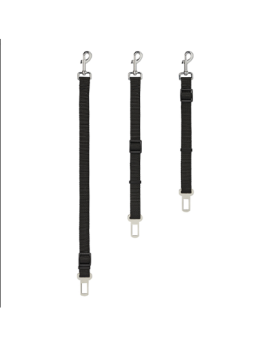 laisse de ceinture de sécurité pour chien