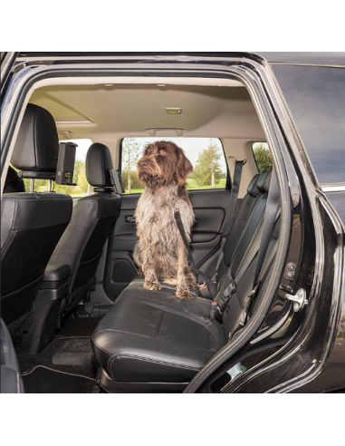 seat belt dog leash