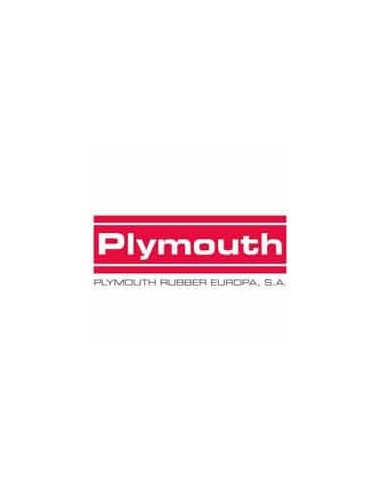 Plymouth