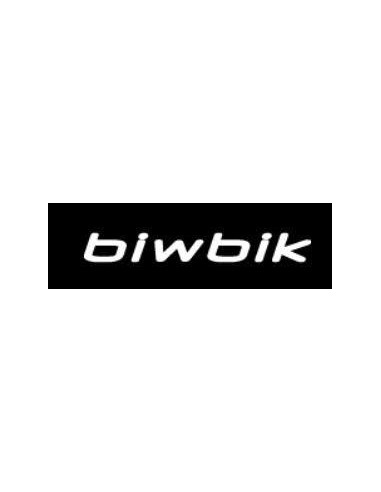 Biwbik